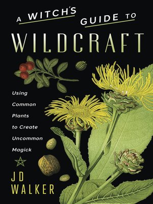 cover image of A Witch's Guide to Wildcraft
